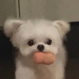 不要这么倒霉了