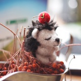 头顶苹果小刺猬