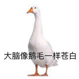 时好时坏