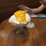 ☁︵锦葵