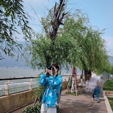 菲情歌、