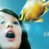 CC巴拉巴拉