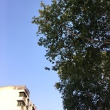 Summery