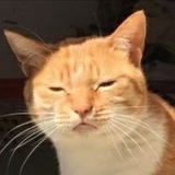 suki