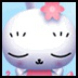 holly