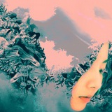 小白