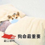 葛优酱
