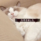 小青