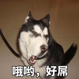 奈良不美智
