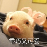 米