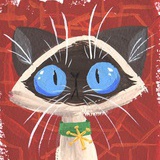 野猫mhy
