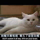 圆滚滚
