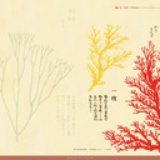 上了年纪的正太