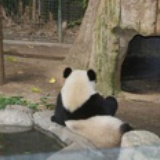 沈吟