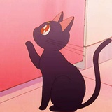 遥