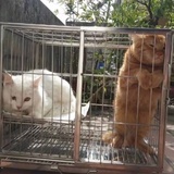 深蓝便是黑
