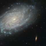 小星星