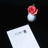 修水坝的木匠