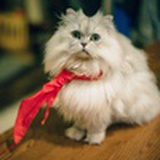 Liza_L
