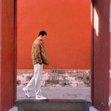 路边野味