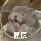秘制猪五花