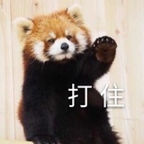 呆小爪