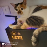 xiaoi