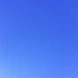 花园里