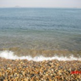 阳光游子