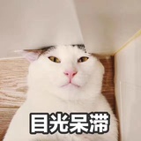蘑菇桑