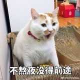 人生海海