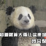 咕呱咕呱咕呱