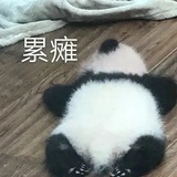 迷什么呢