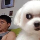 我信了你的鞋