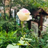 日常补水