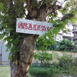 十八子