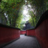 小龙