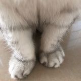 初级打铁匠