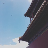 喵小喵