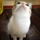 Amen。
