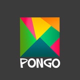 朋歌PONGO