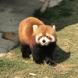 蓝调