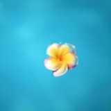 二三四