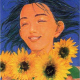 阳光与田