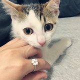 祁小喵wen小鱼