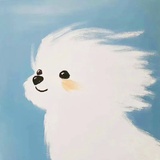 小不衍
