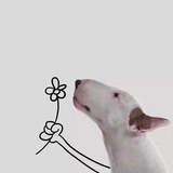 莫子兮艾
