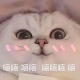 早早
