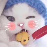 我算哪块小饼干