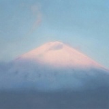大鱼